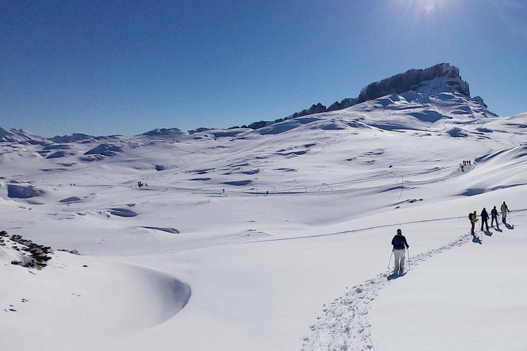 Snowshoe tour Ifen/Gottesacker Allgäu Kleinwalsertal