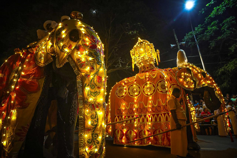 From Colombo: 2-Day Curated Kandy Esala Perahera Experience
