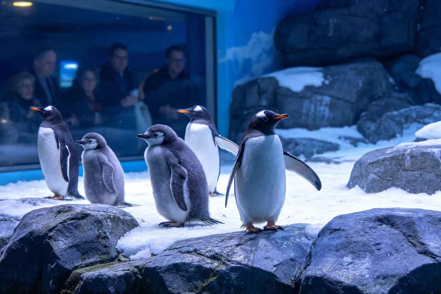 Kelly Tarlton's Sea Life: Sharks, Penguins & Ocean Legends - Kelly Tarlton's Sea Life: Sharks, Penguins & Ocean Legends