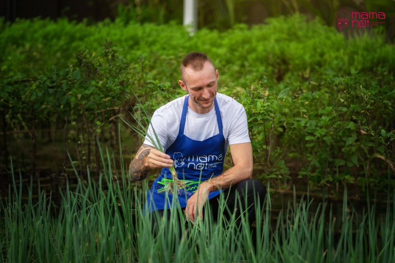 Chiang Mai Elephant Jungle Sanctuary &Mama Noi Cooking Class Sanctuary + Cooking Class in Air-Conditioned Room