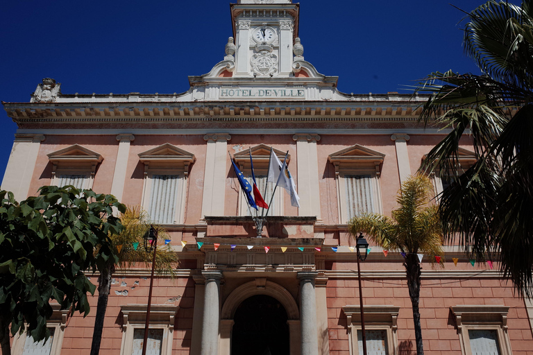 Ajaccio: Private City Tour Through the Old Town with Local Insights
