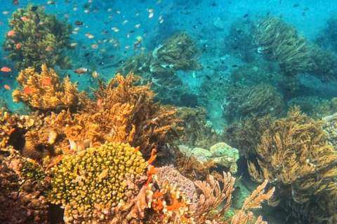 Amed All Exclusive Snorkeling, Fishing & Cooking Lunch Amed Snorkeling Tour and Balinese BBQ Experience