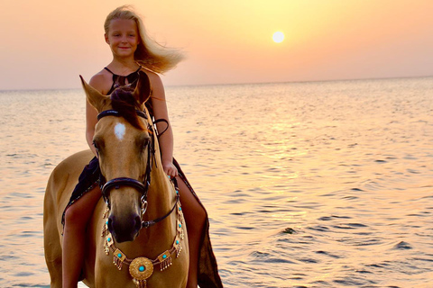 Baía de Makadi: Passeio a cavalo no deserto e no mar com guia + transferênciasBaía de Makadi: Passeio a cavalo no deserto e no mar com guia + transporte