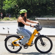 Bike rental near central park online