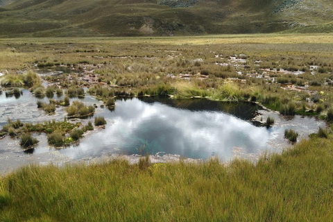 Huaraz: Ganztägig Nevado Pastoruri + Sparkling Waters