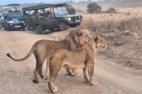 Nairobi National Park Ochtend- of avond gamedrive-tour