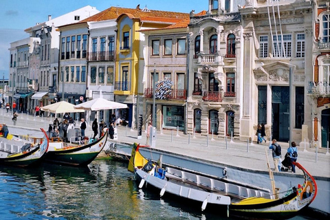 From Porto: Aveiro and Costa Nova Half-Day Tour with Cruise