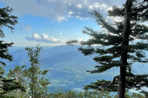 Hokkaido: Half Day Backcountry Hiking Tour with Onsen Hokkaido:Half Day Backcountry Hiking Tour with Onsen