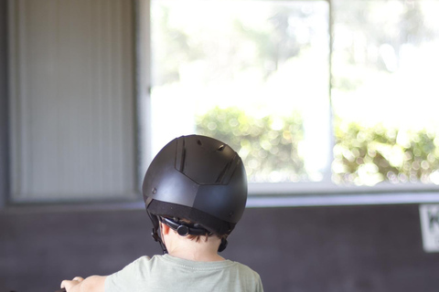 Jose Ignacio: Unforgettable Coastal Horseback at the Beach