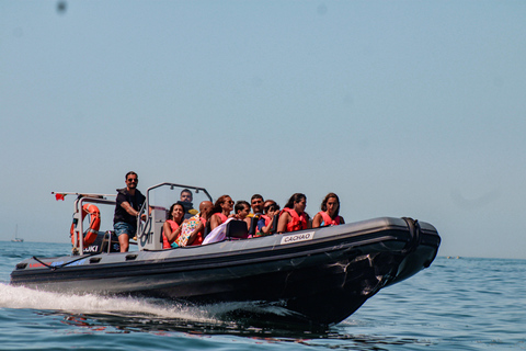 Vilamoura: Benagil Cave Small Group