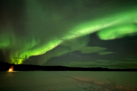 Northern Lights Tour with BBQ and Drinks