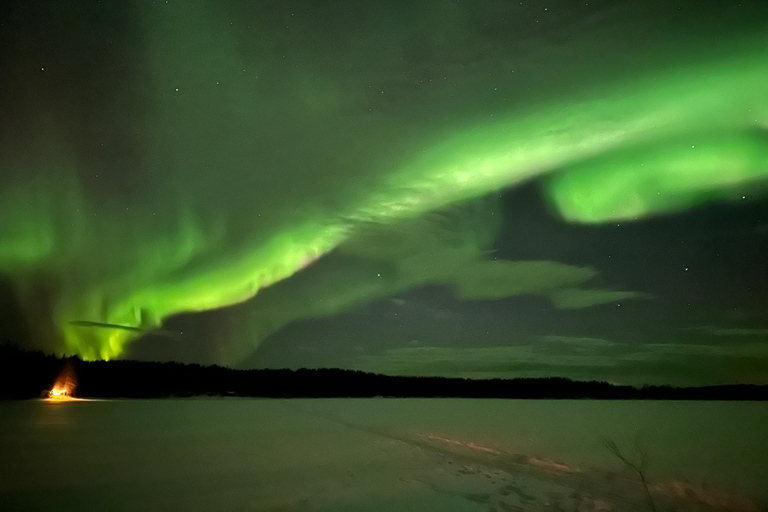 Northern Lights Tour with BBQ and Drinks