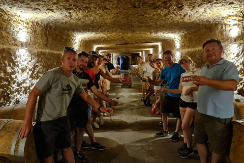 Chateau della Valle della Loira: tour di 2 giorni in bicicletta con degustazione di vini