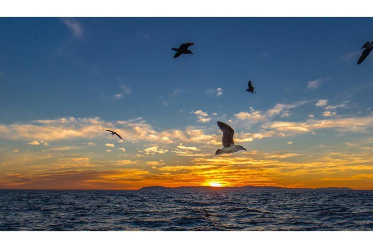 Relaxing Sunset/Evening Cruise in Newport Beach