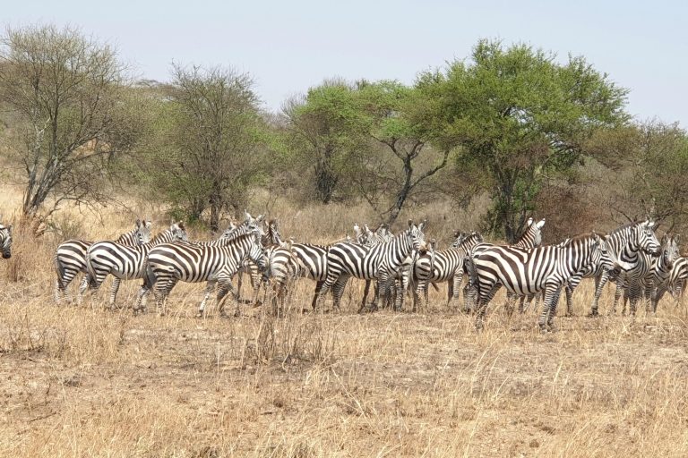 5 dagen Tanzania safari in kleine groep5 DAGEN DELEN & MEE OP SAFARI IN KLEINE GROEP