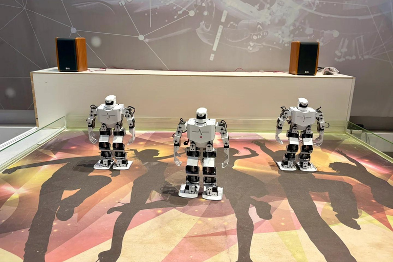 Hangzhou Tech Tour: Robots, AI & Interactive Experiences