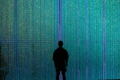 Tokyo: TeamLab Borderless & Imperial Palace History Tour