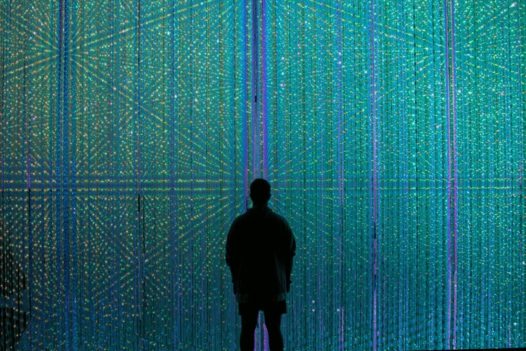 Tokyo: TeamLab Borderless & Imperial Palace History Tour