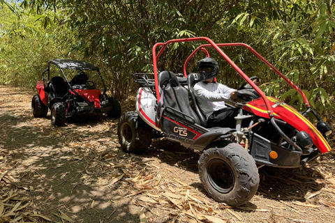 Bamboo Dune Buggy Tour