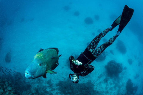 Port Douglas: Just 12 Passengers Guided Snorkel Reef Cruise