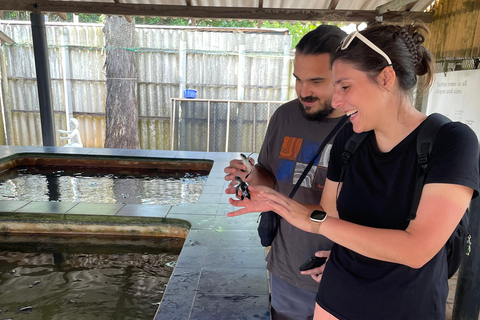 Galle Fort, Sea Turtles & Jungle Beach Private Day Tour