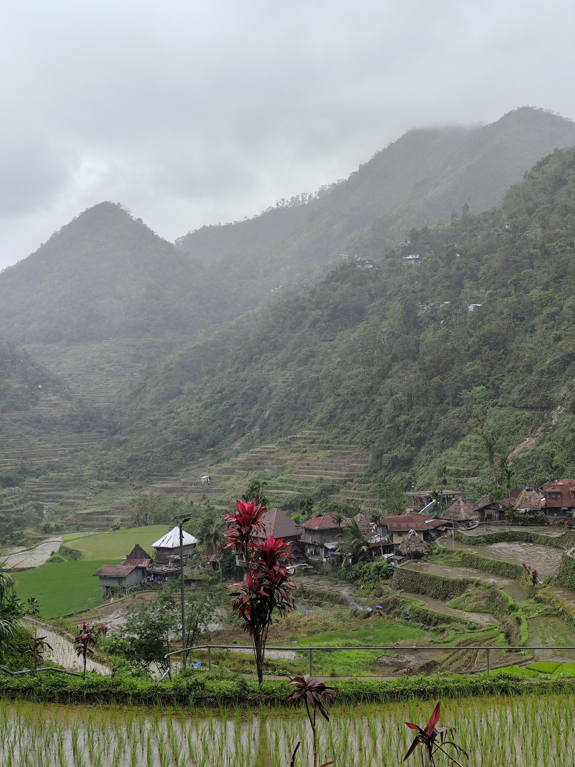 Ab Manila: 2-tägige Tour nach Banaue und Batad (UNESCO) mit Wanderung