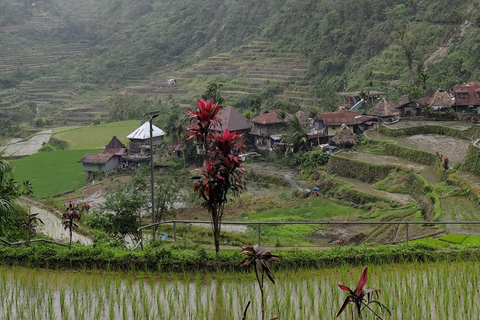 From Manila: Banaue and Batad UNESCO 2-Day Tour with hiking RICE TERRACES UNESCO with waterfalls and Natural Hotspring