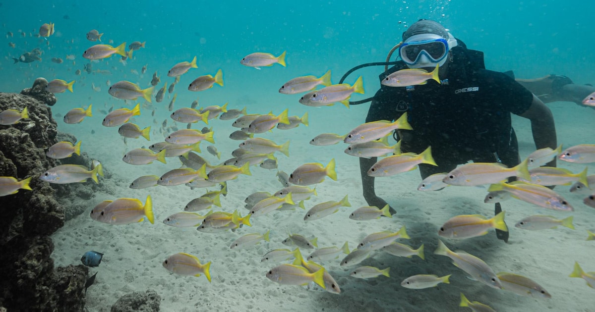Phuket: Discover Scuba Diving ( Shore dive in Kata beach ) | GetYourGuide