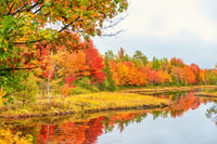 Costa este de EE. UU., Otoño destacado Tour de audio autoguiado con aplicación - Housity