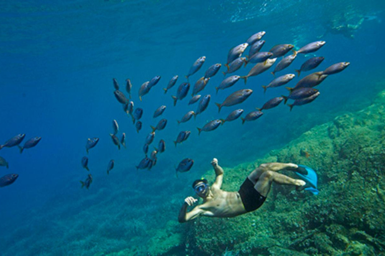 La Ciotat: Boat Tour in the Calanques with swimming