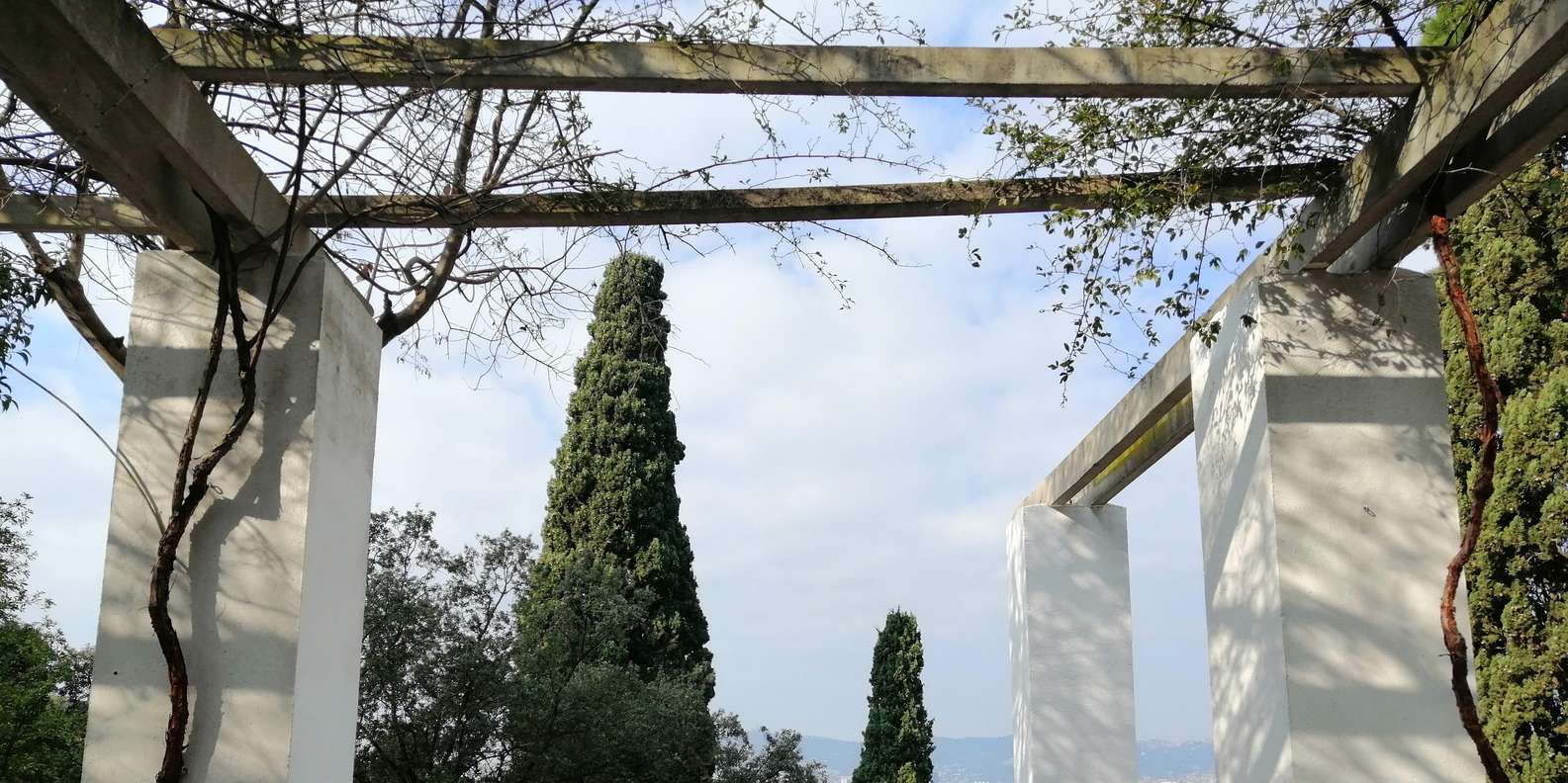 section