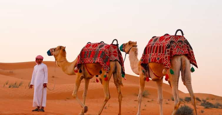 Doha: ATV/Desert Safari with Activities and Inland Sea Stop photo 6