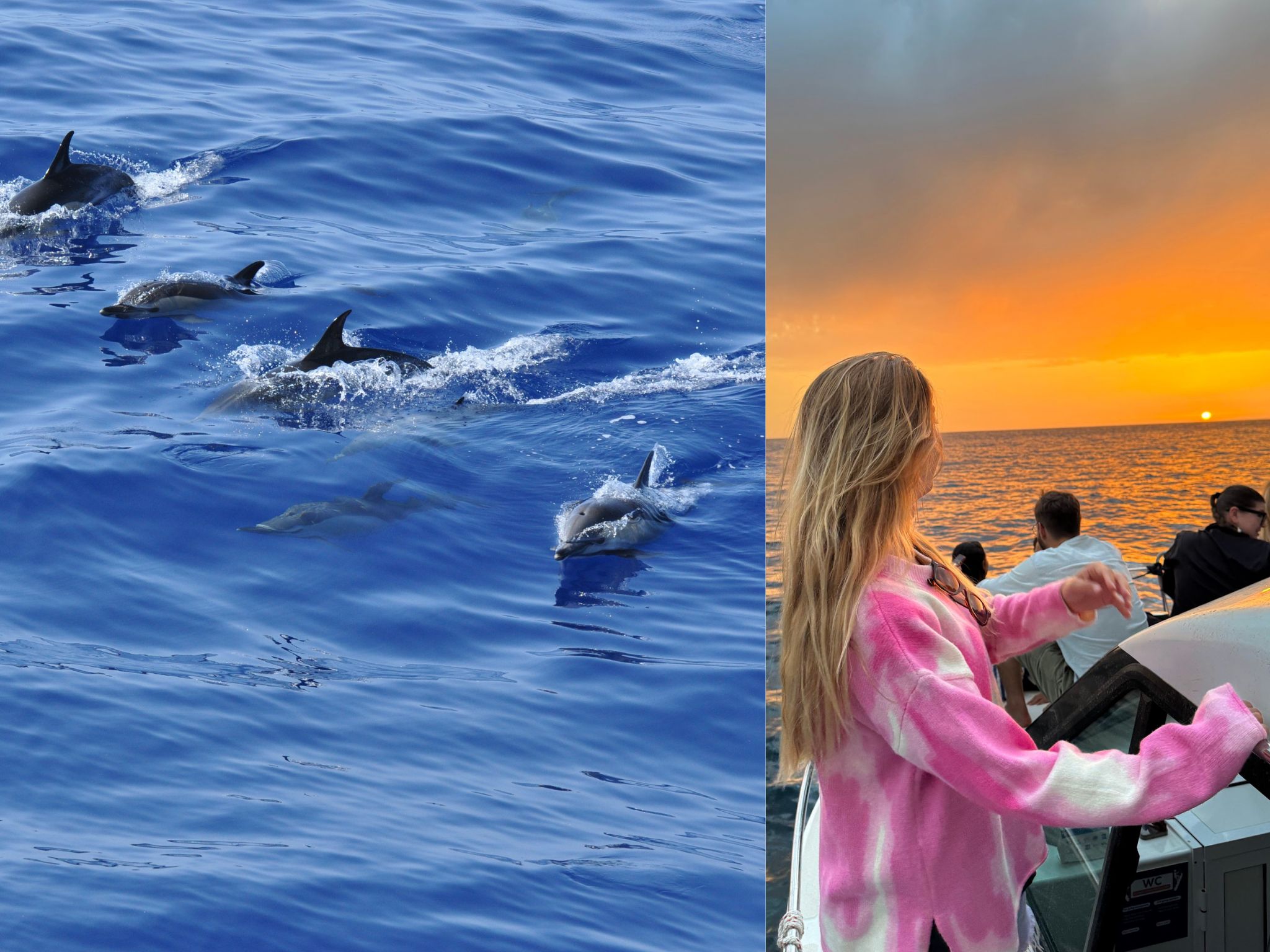Funchal: Katamarantour am Morgen/Abend mit offener Bar & Snacks