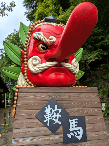 T17 Kyoto: Kurama Guided Hike to Kibune, Forest Bathing