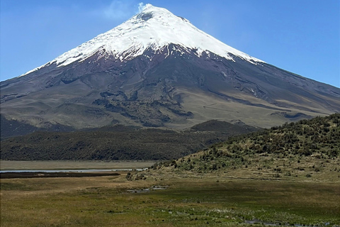 From Quito: The Best of Cotopaxi in a Day