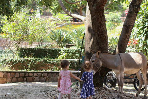 Promenade à dos d&#039;âne pour les enfants