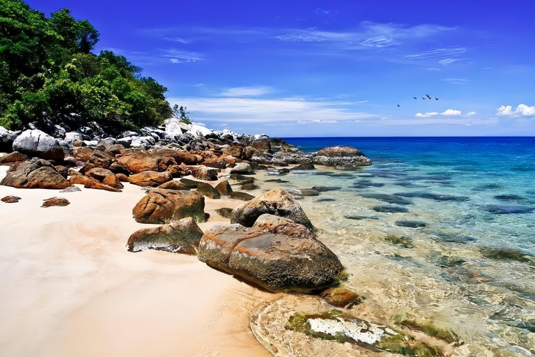 Visita le isole Cham e fai snorkeling e immersioni subacqueeTour di gruppo