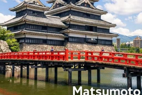 Nagano/Tokyo: Snow Monkey Private Car Tour Hotel Pick & Drop