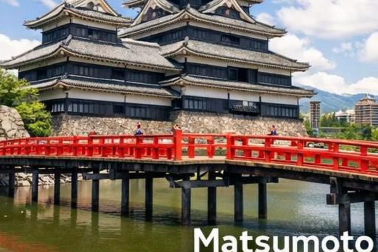 Nagano/Tokyo: Snow Monkey Private Car Tour Hotel Pick & Drop