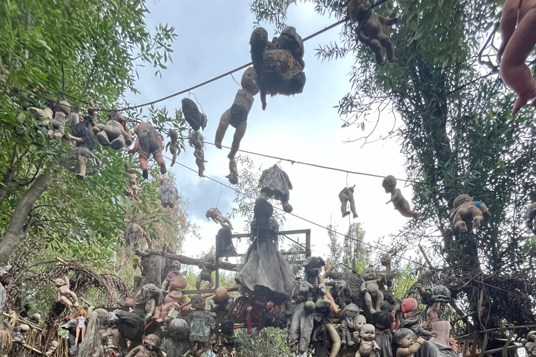 Mexico City: transport to the island of the dolls