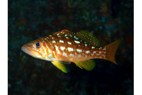 Los Angeles: Heal The Bay Aquarium w Santa Monica