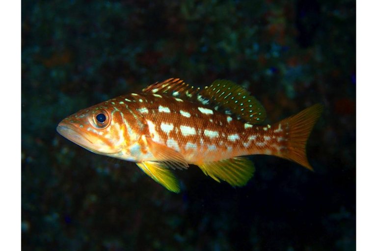 Los Angeles: Heal The Bay Aquarium w Santa Monica