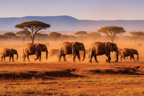 5-Days Tsavo East & West Safari and Mombasa Tour
