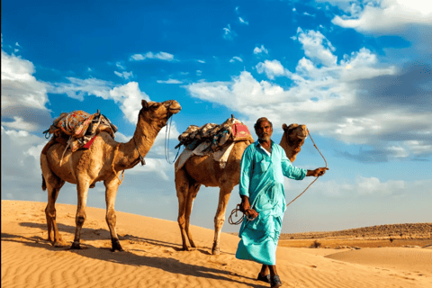 Sharm El-Sheikh: Sunrise ATV & Ras Mohammed Allah Gate Tour 2 Person ( 1 DBL QUAD ) + Allah Gates Entrance