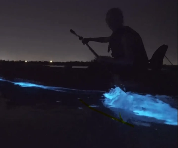 Cocoa Beach/Ilha Merritt: passeio de caiaque bioluminescente