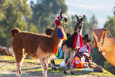 From Cusco: Excursion to Machu Picchu with Train included From Cusco: Day Trip to Machu Picchu with Train Included