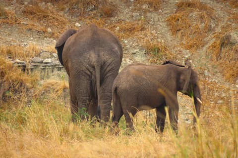 SERENGETI: 2-Days Fly-In Safari to Serengeti and Ngorongoro