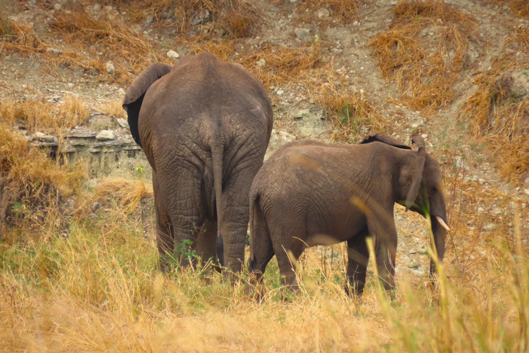 SERENGETI: 2-Days Fly-In Safari to Serengeti and Ngorongoro