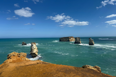 Desde Melbourne: Twelve Apostles, excursión gastronómica por carreteras secundarias.Desde Melbourne: Excursión gastronómica de un día por las carreteras secundarias y los Doce
