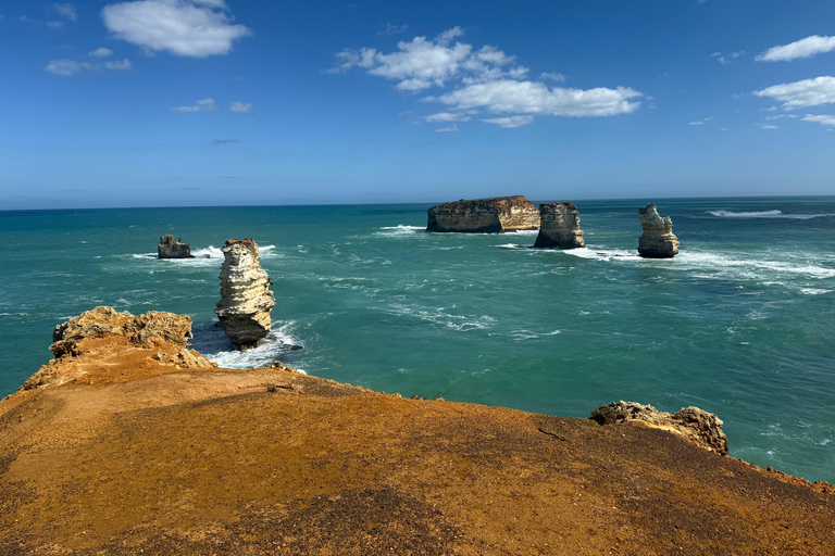 Desde Melbourne: Twelve Apostles, excursión gastronómica por carreteras secundarias.Desde Melbourne: Excursión gastronómica de un día por las carreteras secundarias y los Doce